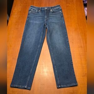 Calvin Klein Jeans Men's Dark Blue Straight Jeans